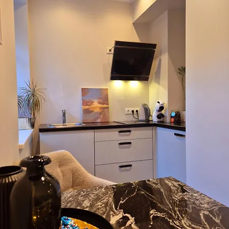 Apartament Terrace Pylimo Str *